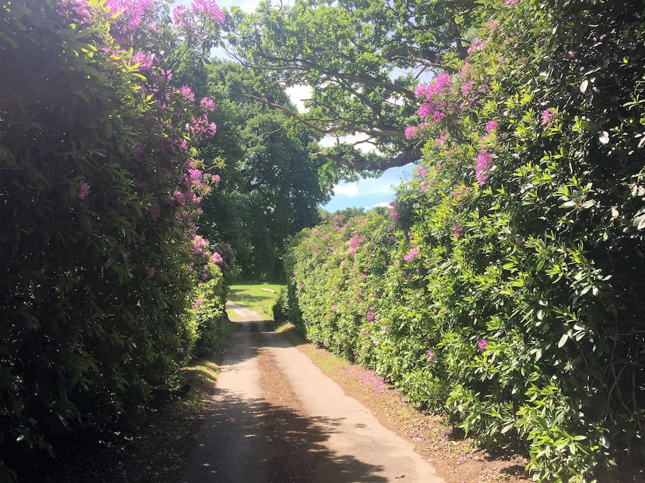 Farm entrance