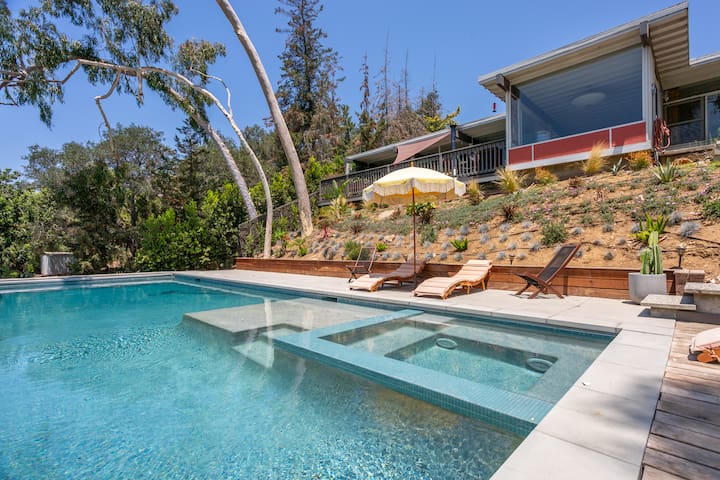 Oak Tree Perched Nest