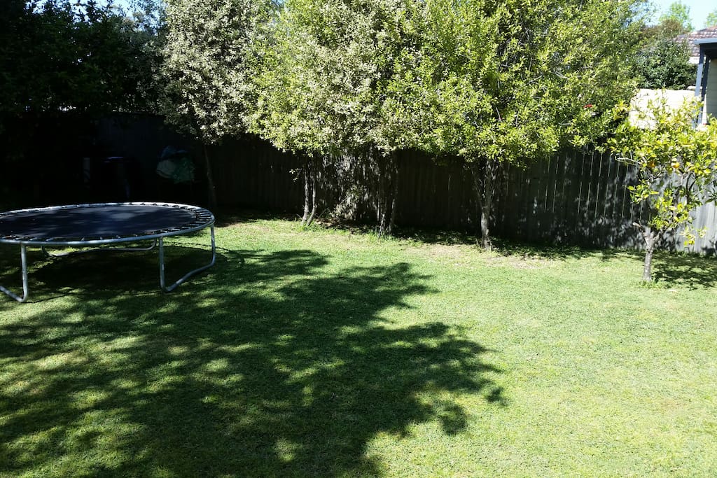 Fully enclosed backyard with plenty of shady spots.