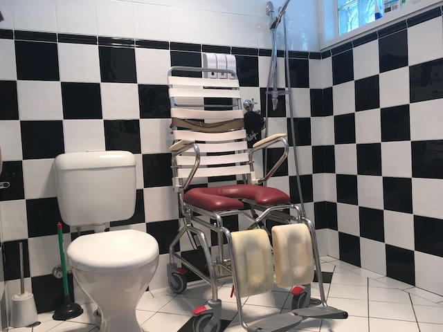 Wheelchair Accessible Private Room