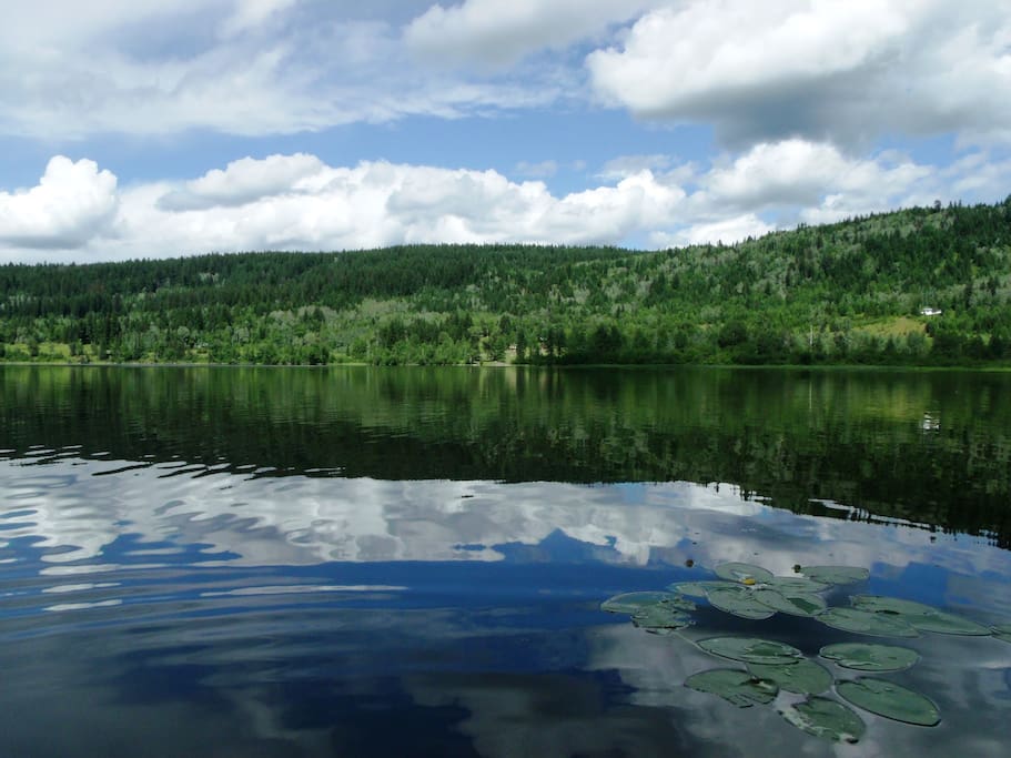 Serene lake perfect for fishing, canoe, kayak and swimming