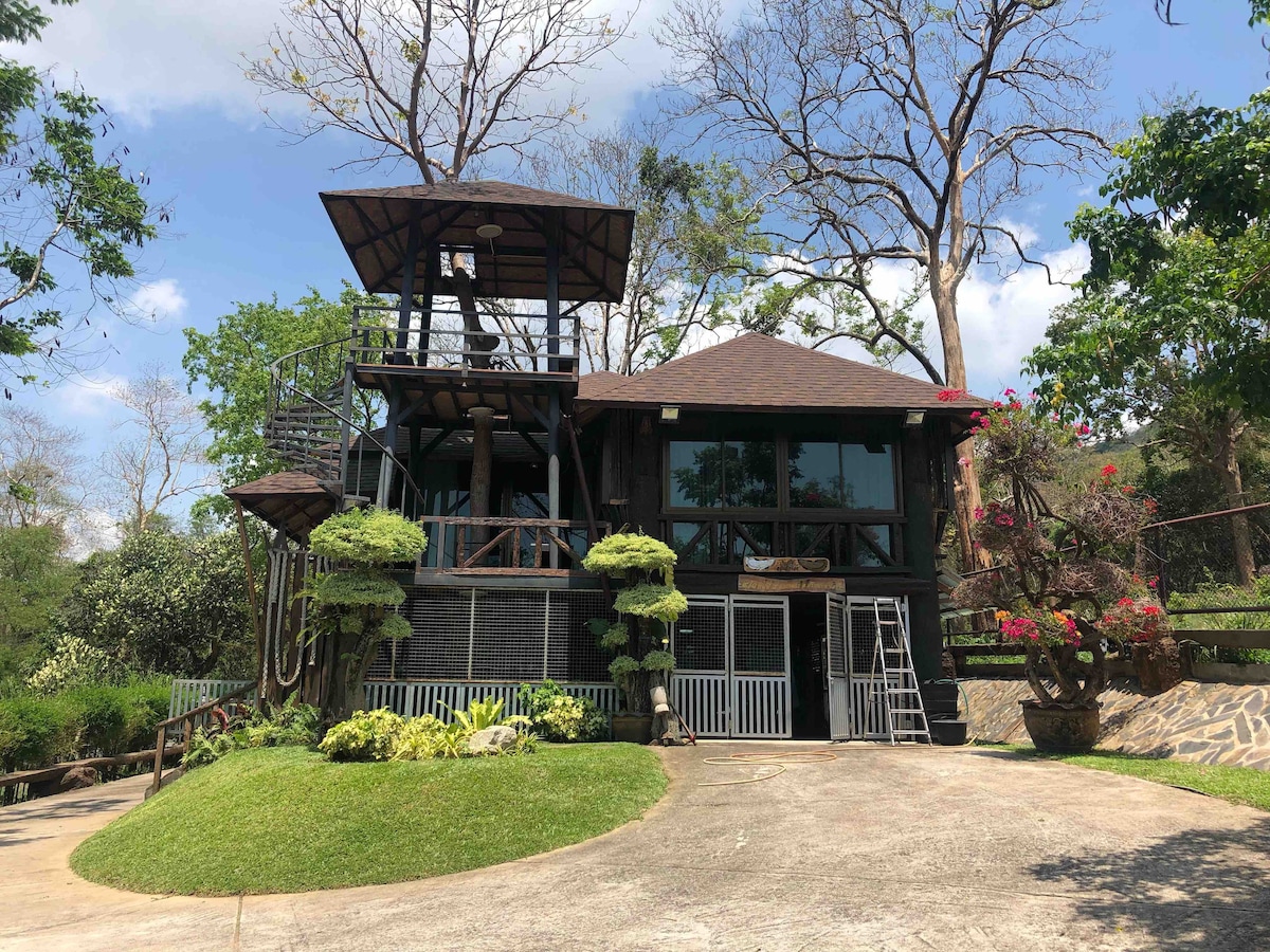 A multi-level wooden house features large glass windows and a brown shingled roof. Surrounding greenery and flowering plants create a serene environment. A spiral staircase is visible on the side, leading to an upper deck that overlooks the area.