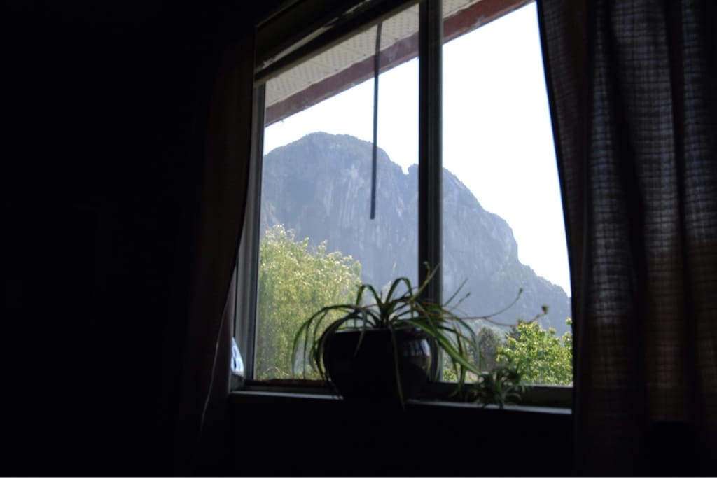 View from bedroom window.