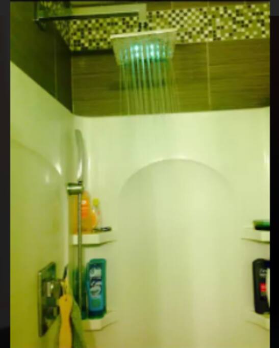 Rain shower Head. Green Lighting Feature not available.