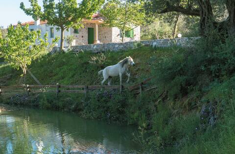 Villa Elia