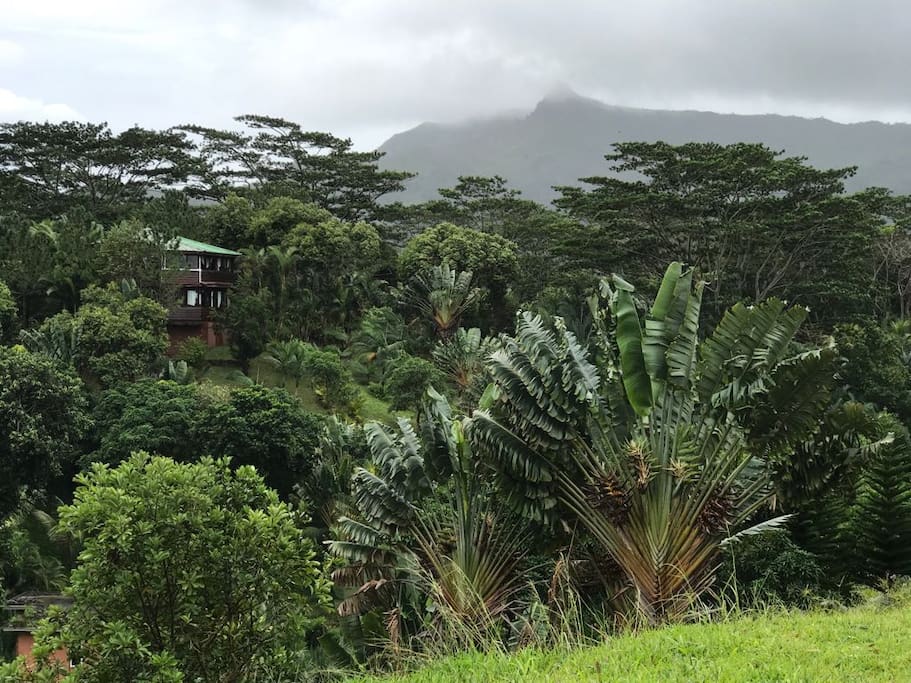 Creole House and Garden