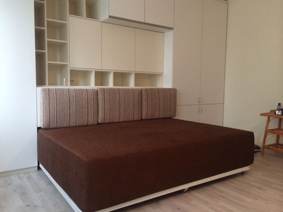 The bed pushes in to function as a couch during the day.