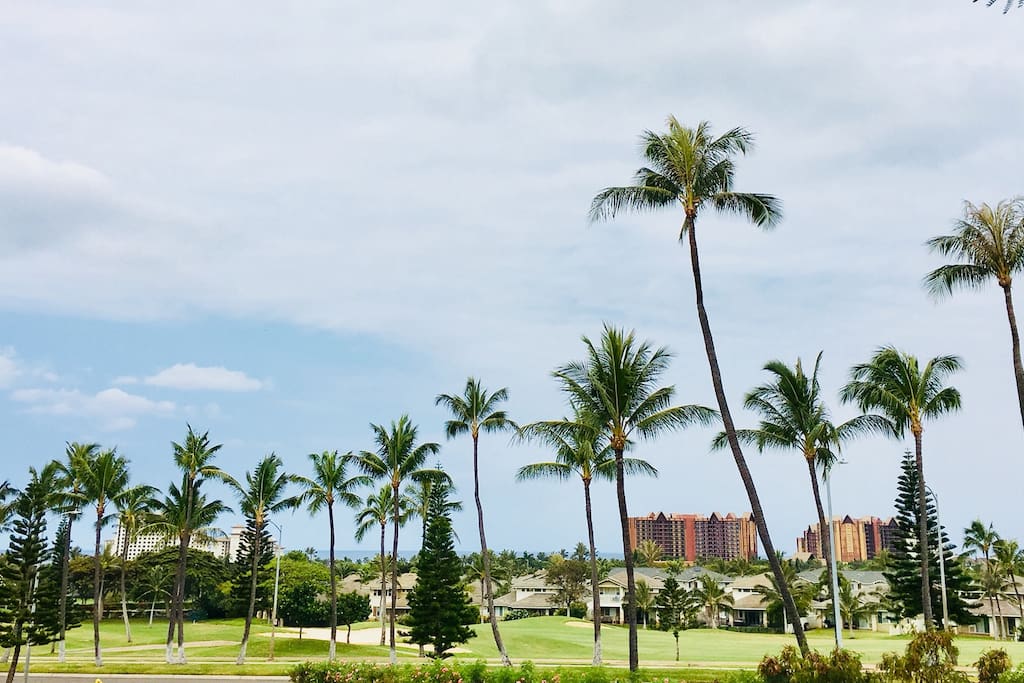 Watch the sunset from the back yard with the Aulani Disney as your background,