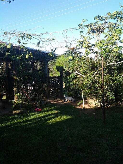 Jardim