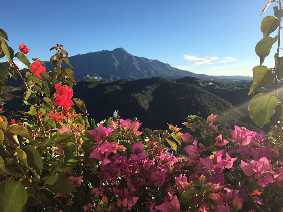 View from bedroom balcony
