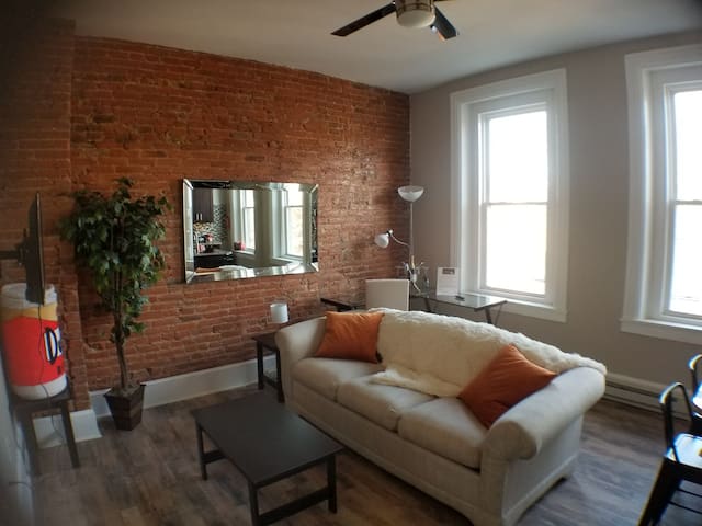 Beautifully Remodeled Apartment in Downtown!