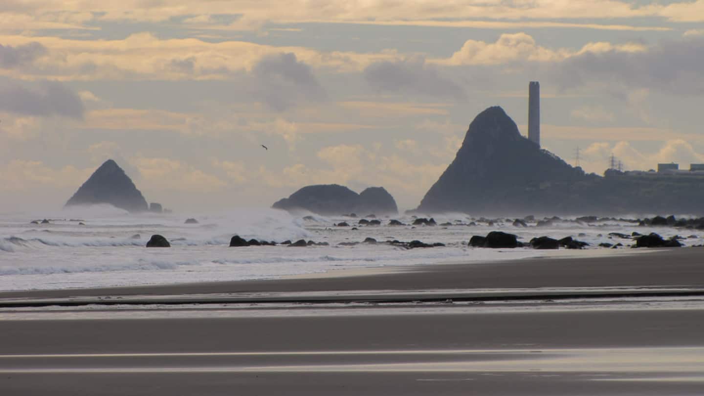 Hosted Taranaki Dairy Farm Tour 5
