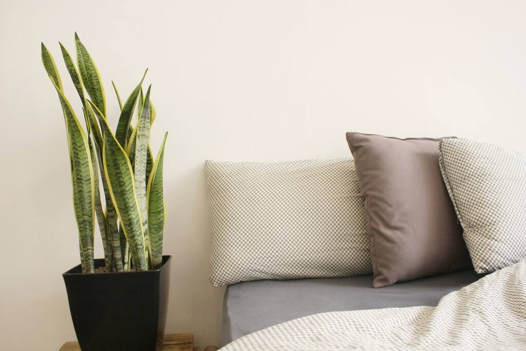 A comfy bed to rest in during your stay