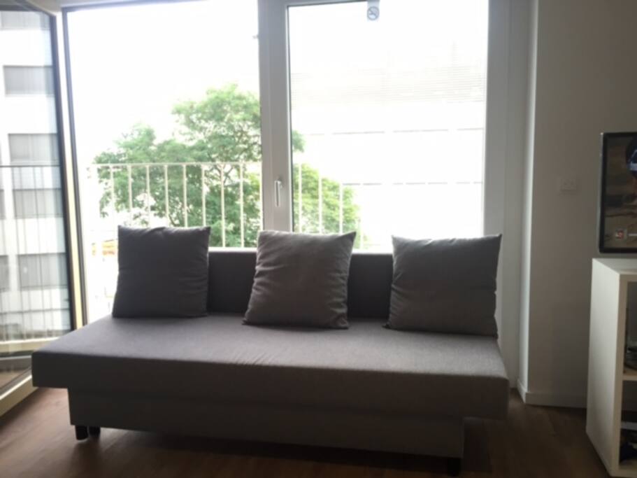 Couch (Sofa-Bed)