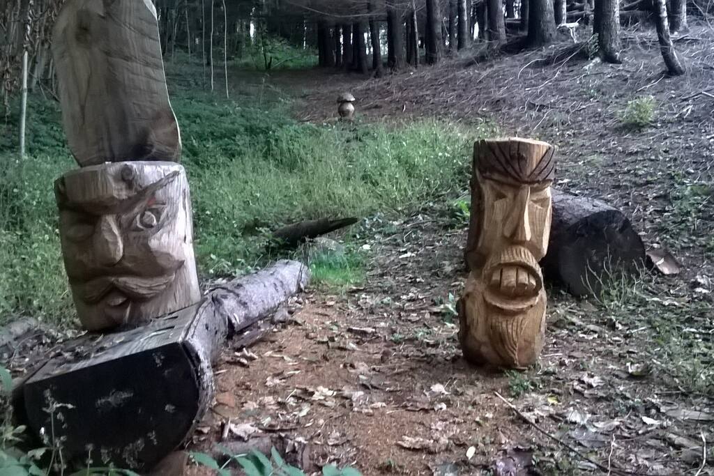 Sculture in legno fatte dai tagliaboschi (poco distanti da Casa Gabriela)