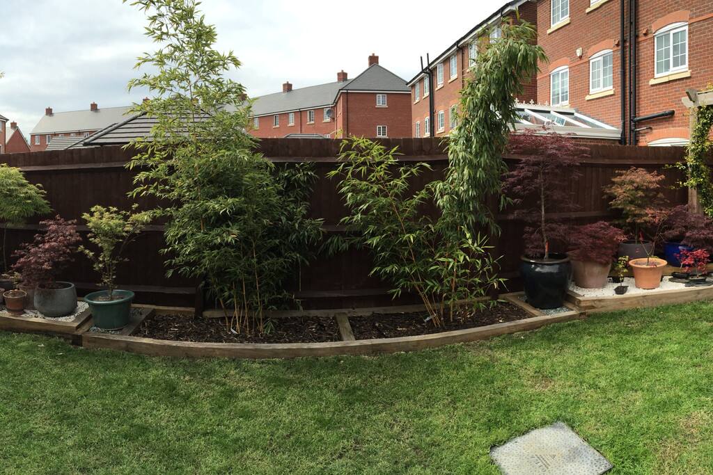 You can enjoy my garden! :)