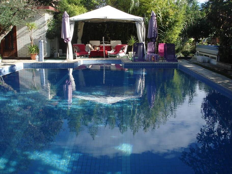 Swimming pool with the pavillion