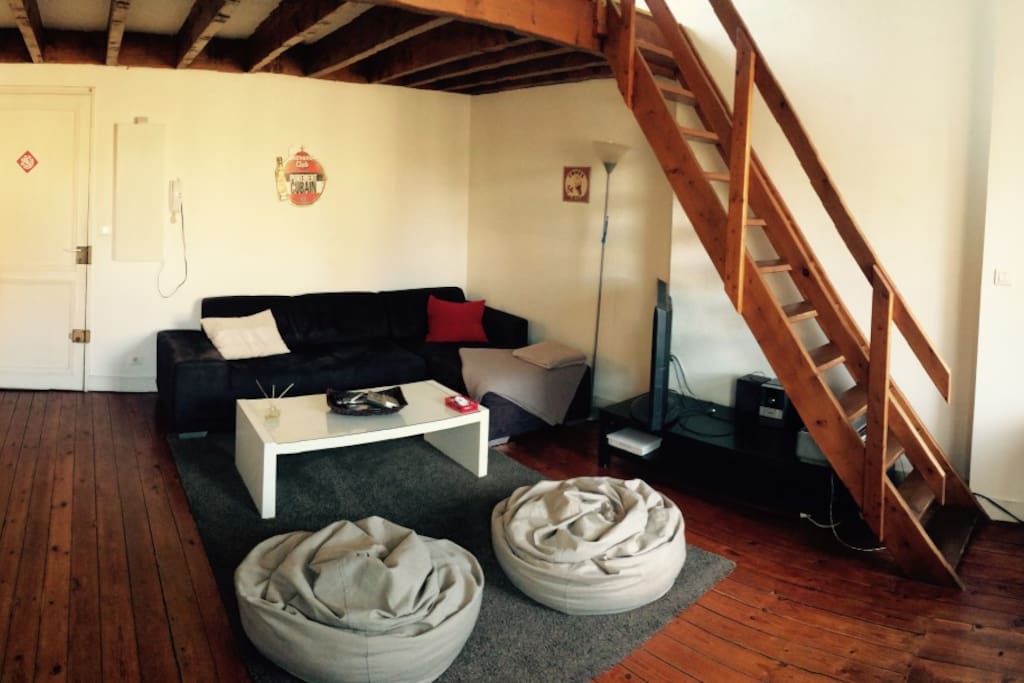 Pièce à vivre / salon