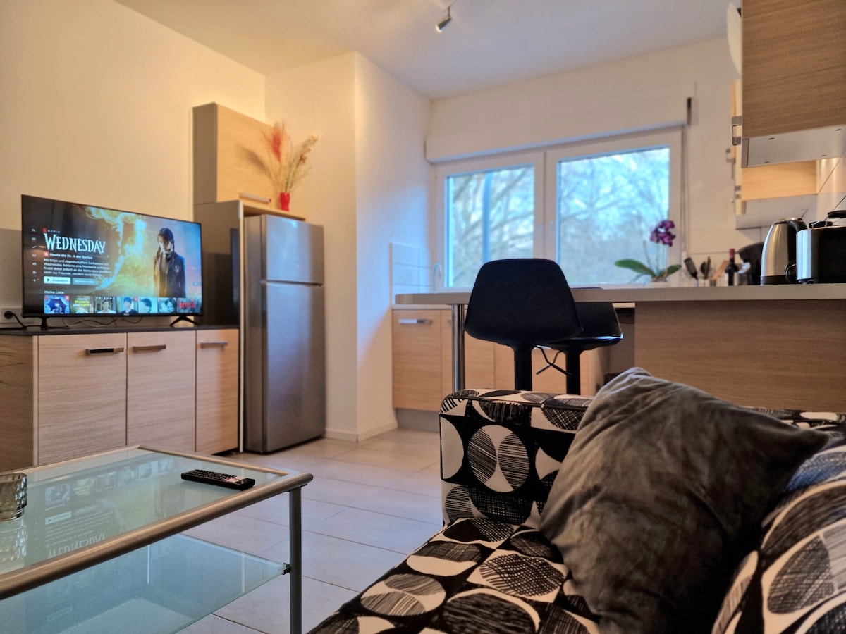 Erfolgreiche Airbnb-Immobilie: Business-Apartment 56 qm zentral in Südviertel