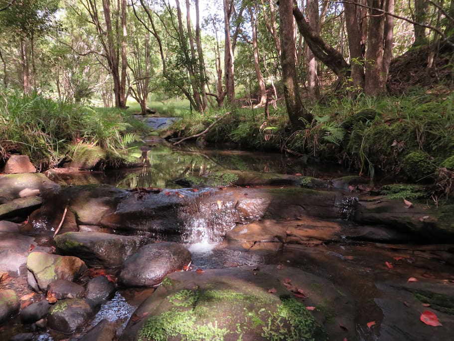The babbling brook at the bottom of the garden
