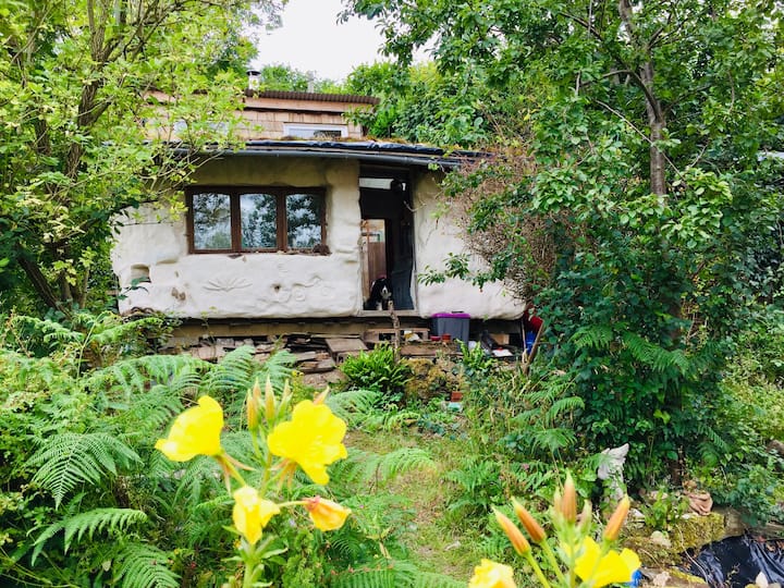 Cardigan Holiday Rentals & Homes Wales, United Kingdom Airbnb