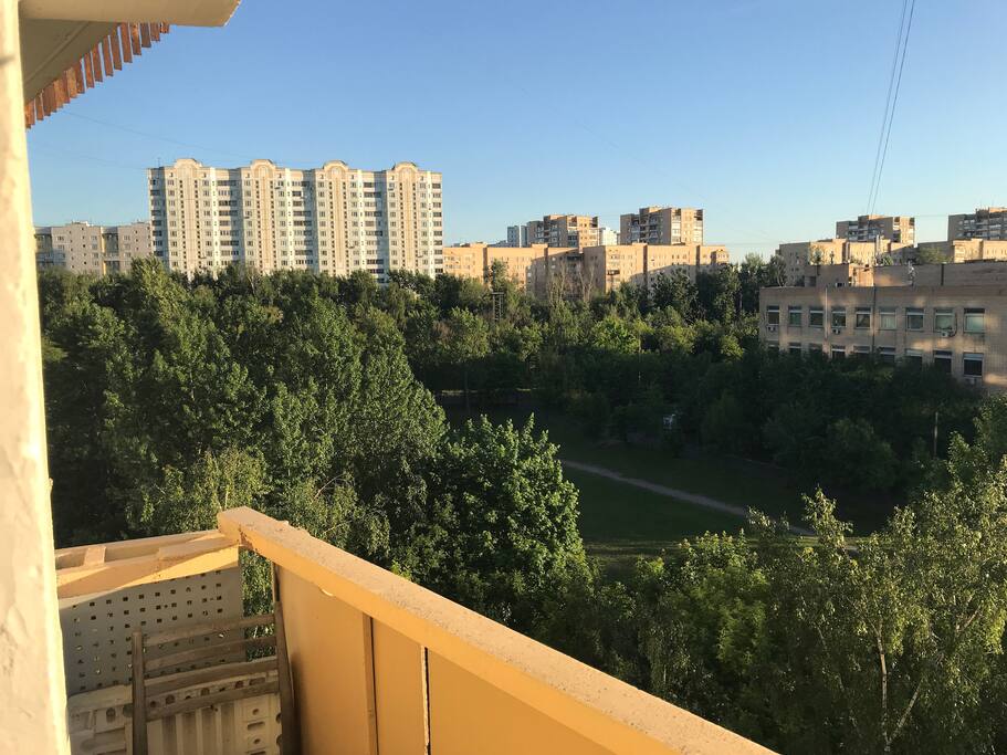 View from window