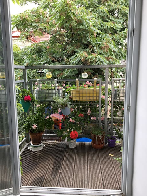 The balcony of our flat - ideal to relax after City Trips.