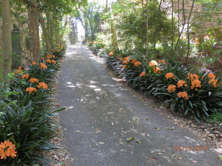 Driveway