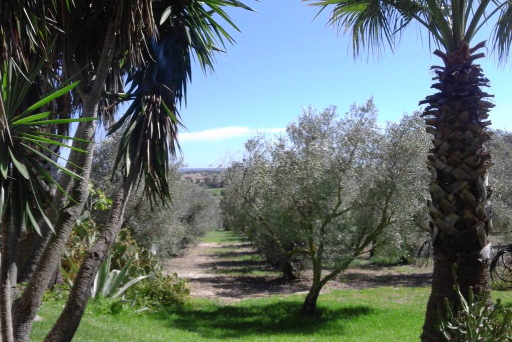 jardin integrado al campo