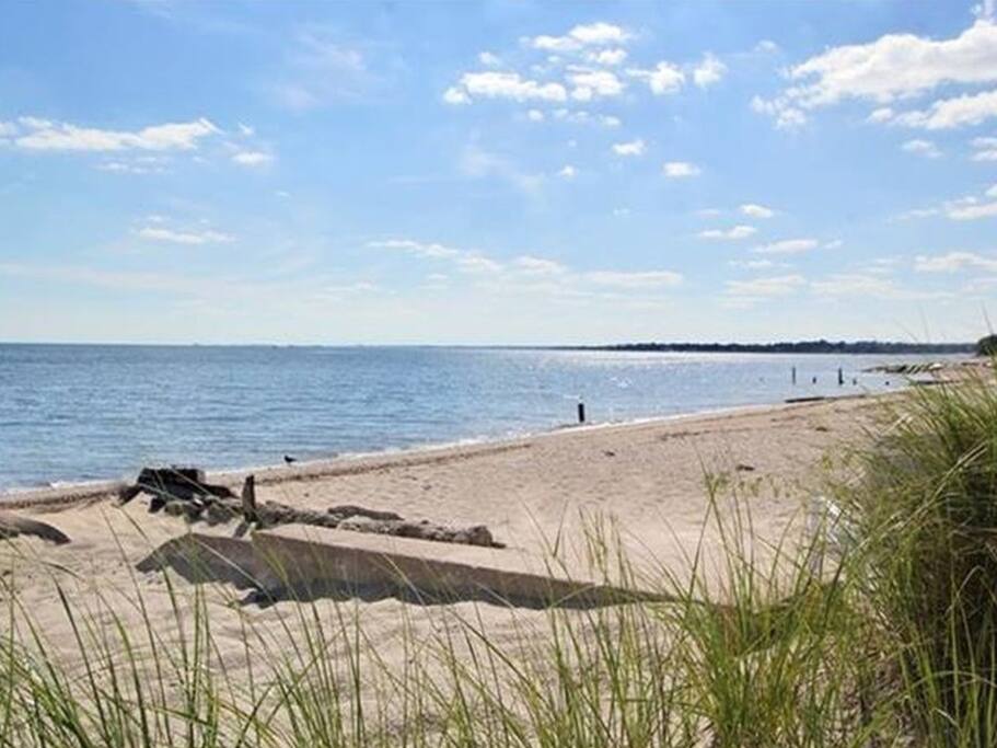 Beach at high tide