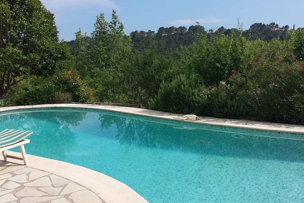 The pool and terrasse overlook woodlands