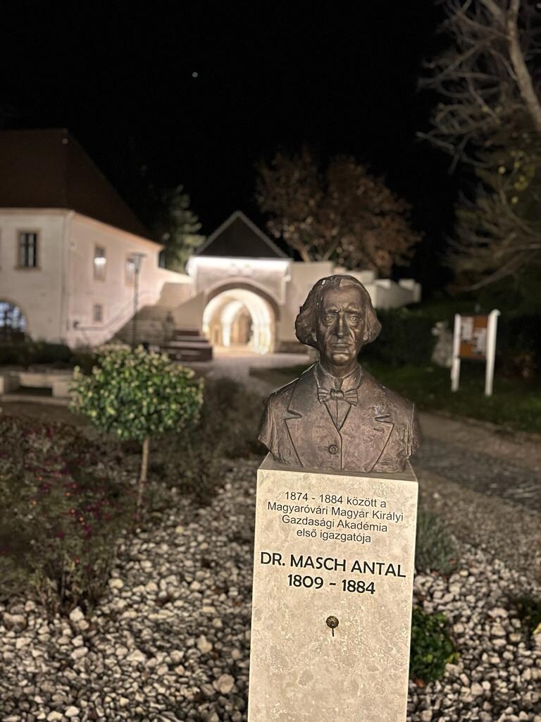 A bronze bust of Dr. Masch Antal is positioned on a stone pedestal in an outdoor setting. The background features a well-lit building, hinting at historical architecture. Pebbled pathways and shrubbery are visible, enhancing the tranquil ambiance of the area at night.