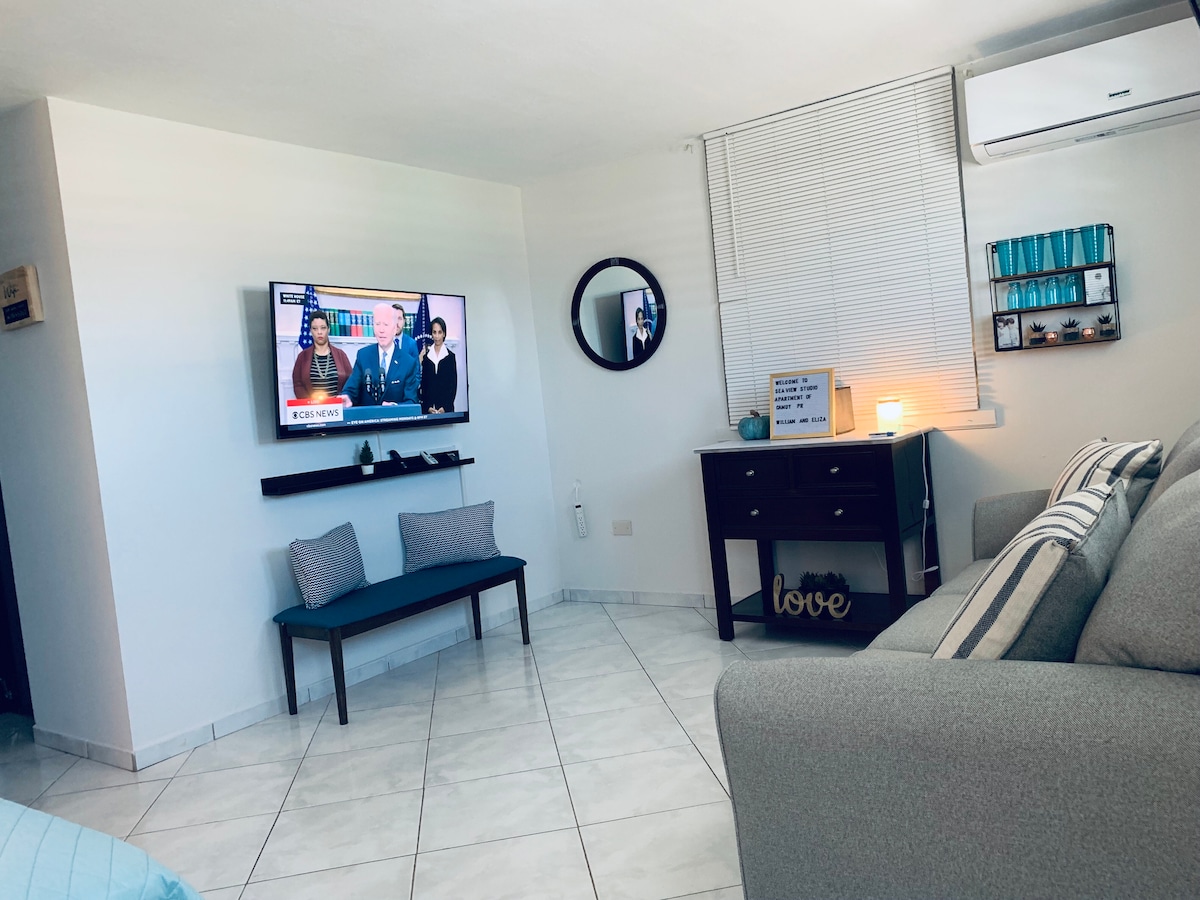Top Airbnb: SeaView Studio Apartment in Arecibo