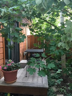 Cozy%2C+Quiet%2C+Private+Aspen+Studio