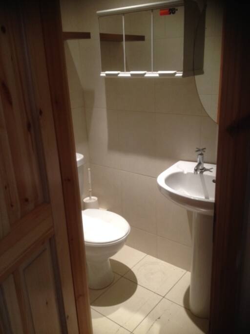 Toilet Sink and Shower