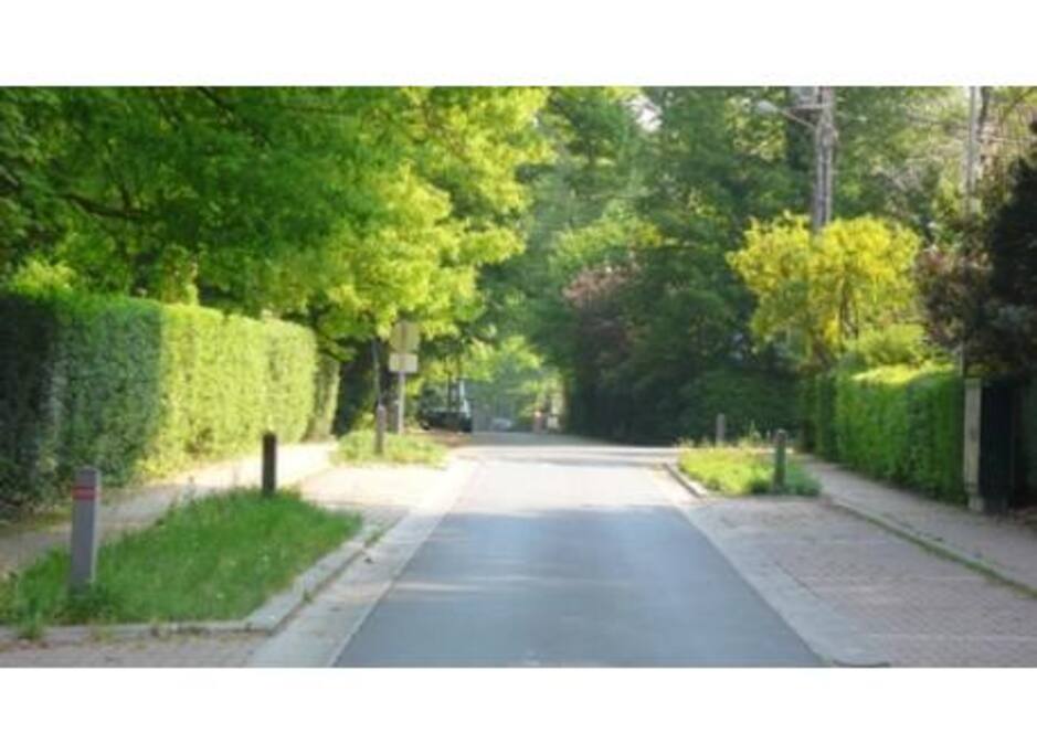 Street