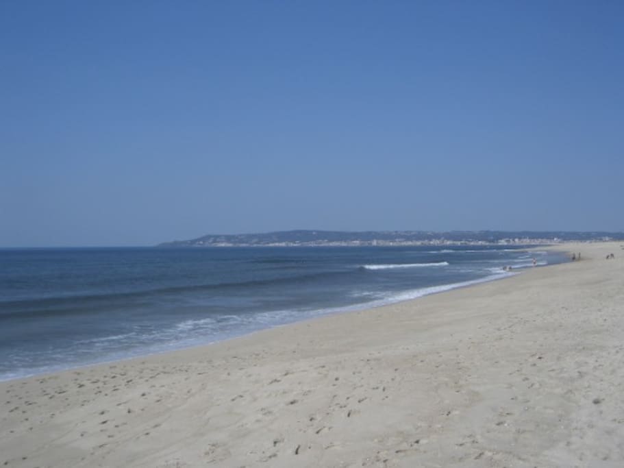 Plage a proximité