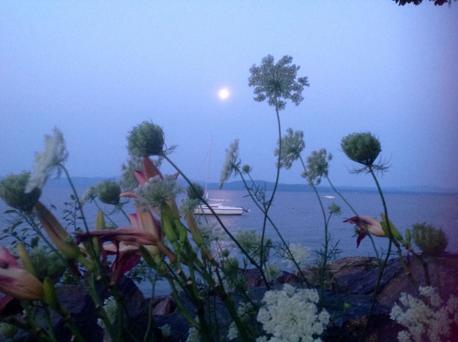 Morning Moon.