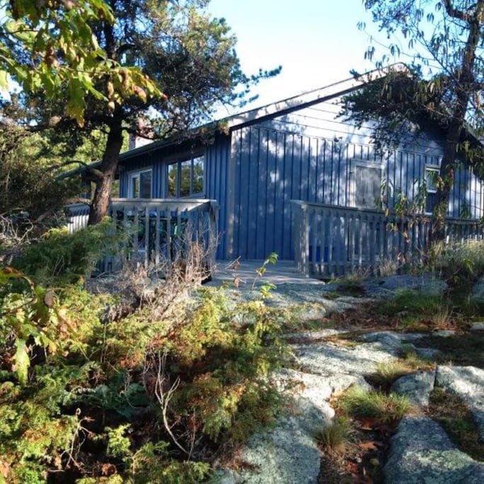 front /side of cabin