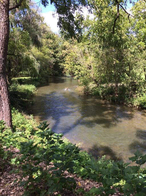 The view from the bank behind the cottage