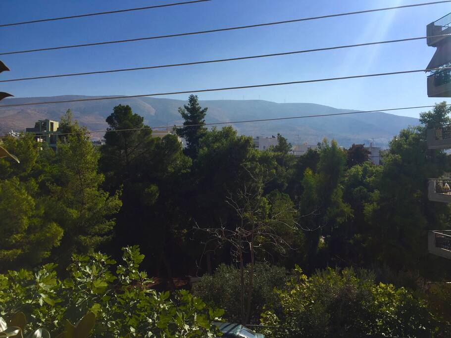 View from the balcony