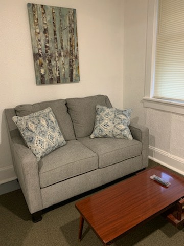 A light gray sofa is presented with decorative blue and white pillows, placed in a well-lit space. A wooden coffee table occupies the area in front of the sofa, and a nature-themed artwork adorns the wall above.