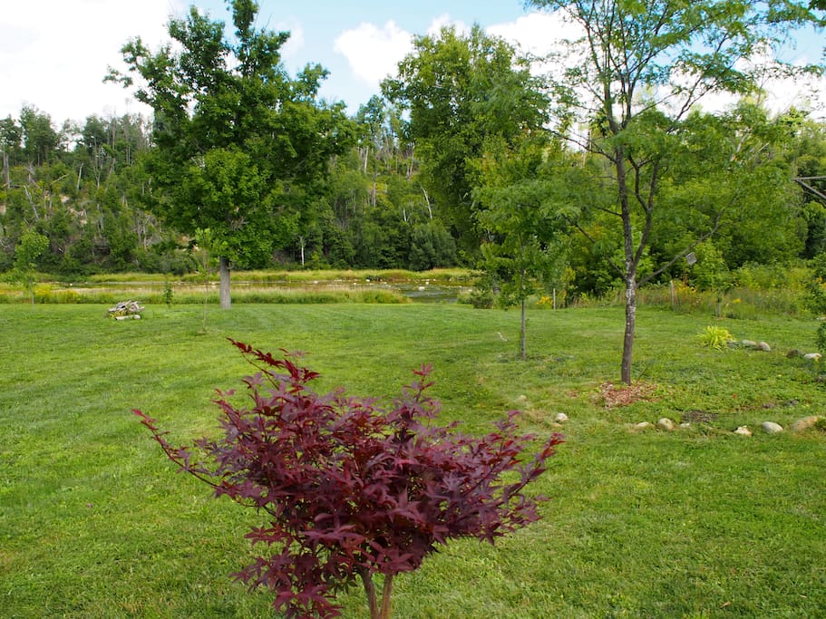View of the river from the cabin