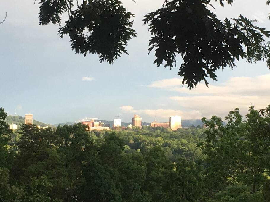 City view from our property.