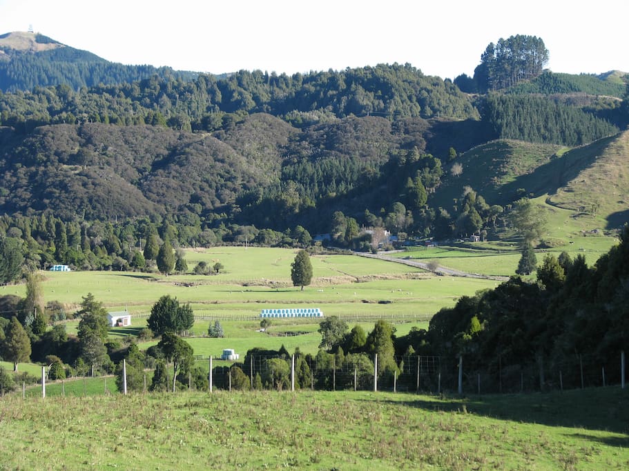 A view down to the cottage
