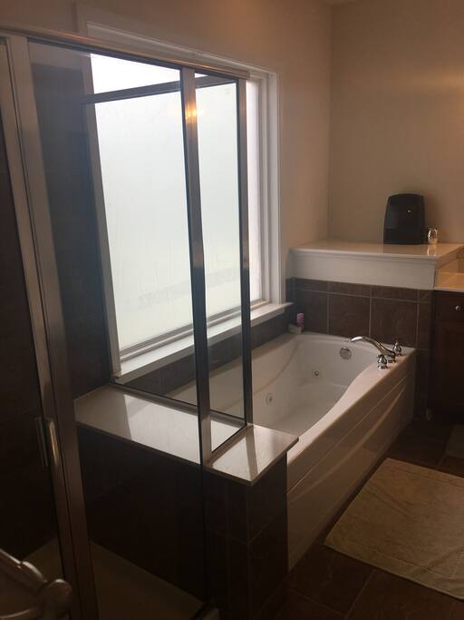 Jetted soak tub and shower