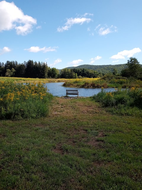 "Grandpa's Back 40"- 1/2 m Cooperstown Dreams Park