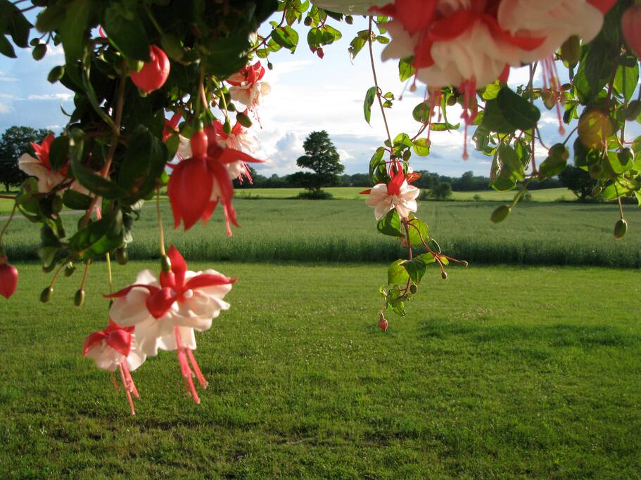 The view from the front porch!