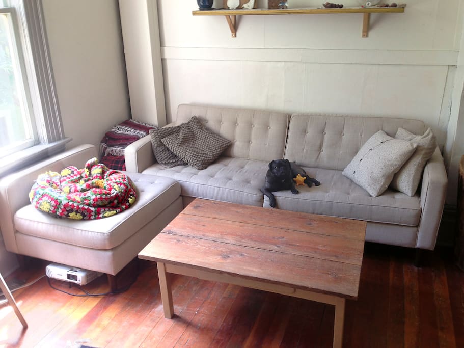 This comfort zone does not include a dog but we do have a dog in real life. We extract all dog hair before renting.