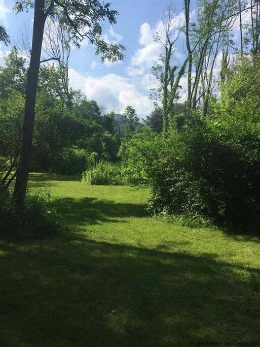 Full use of 1 acre yard